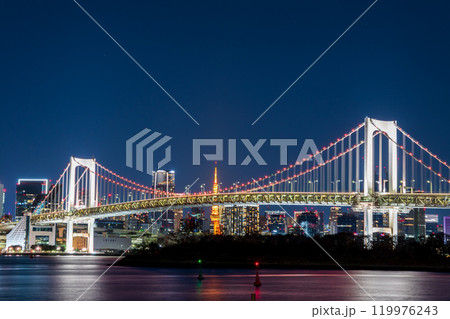 「東京都」お台場から望む東京都市景観　夜景 119976243