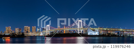 「東京都」お台場から望む東京都市景観　夜景 119976246