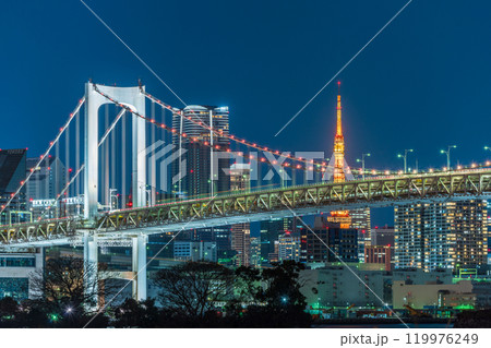 「東京都」お台場から望む東京都市景観　夜景 119976249