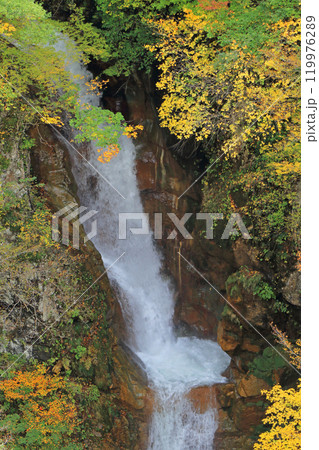 秋山郷　秋の蛇淵の滝 119976289