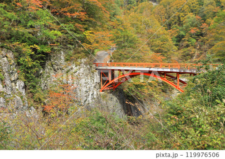 秋の秋山郷 前倉橋 秋の秋山郷 前倉橋 119976506