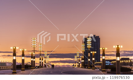 「東京都」黄昏の有明・夢の大橋 夕景 「東京都」黄昏の有明・夢の大橋 夕景 119976530