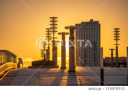 「東京都」黄昏の有明・夢の大橋　夕景 119976533