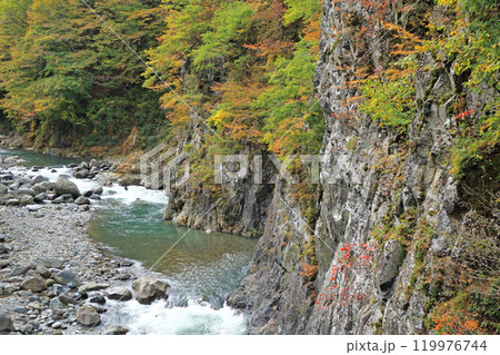 秋の秋山郷　前倉橋上流の中津川渓谷 119976744