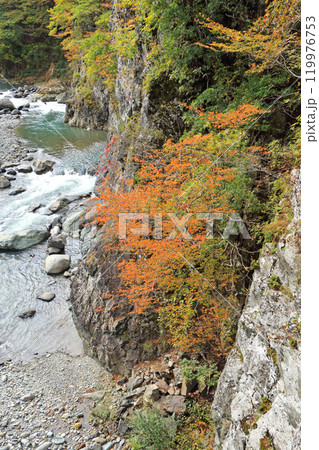 秋の秋山郷 前倉橋上流の中津川渓谷 秋の秋山郷 前倉橋上流の中津川渓谷 119976753