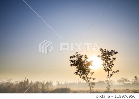 「見沼田んぼ」冬の朝 朝霧の立ち込める美しい風景 「見沼田んぼ」冬の朝 朝霧の立ち込める美しい風景 119976950