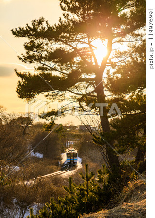 「青森県」夕陽を浴びて走るJR八戸線の列車・種差海岸　八戸市 119976991