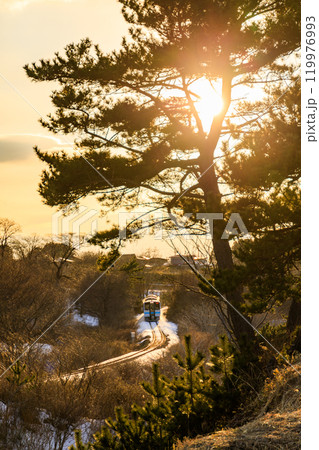 「青森県」夕陽を浴びて走るJR八戸線の列車・種差海岸　八戸市 119976993