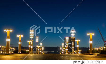 「東京都」夢の大橋の夜景　有明 119977033