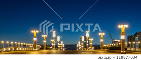 「東京都」夢の大橋の夜景　有明 119977034