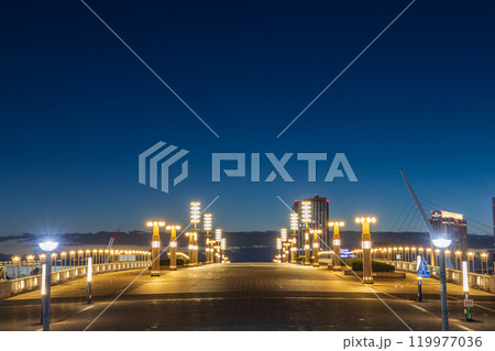 「東京都」夢の大橋の夜景　有明 119977036