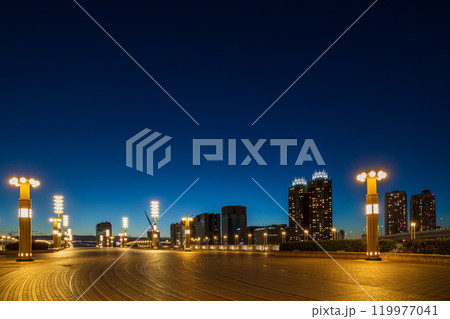「東京都」夢の大橋の夜景 有明 「東京都」夢の大橋の夜景 有明 119977041