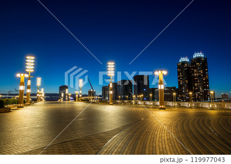 「東京都」夢の大橋の夜景　有明 119977043