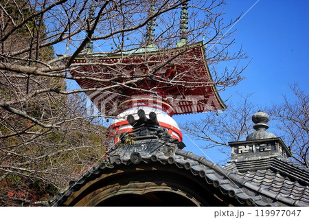四国霊場第23番札所「薬王寺」瑜祇塔 四国霊場第23番札所「薬王寺」瑜祇塔 119977047