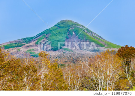 北海道知床　羅臼岳と黄葉の白樺林 119977070