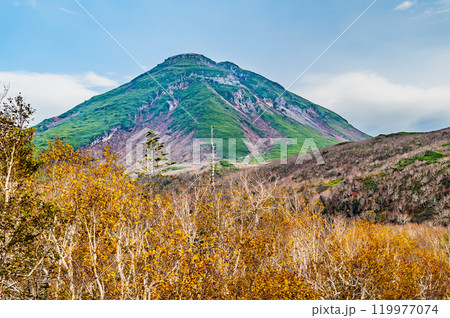 北海道知床　羅臼岳と黄葉の白樺林 119977074