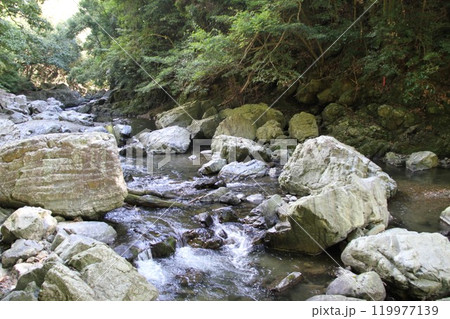 木漏れ日あふれる大阪高槻摂津峡の清流 木漏れ日あふれる大阪高槻摂津峡の清流 119977139