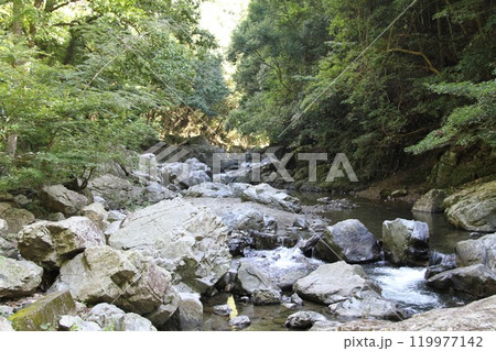 木漏れ日あふれる大阪高槻摂津峡の清流 119977142
