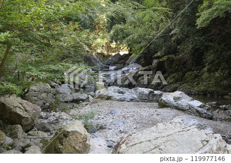 木漏れ日あふれる大阪高槻摂津峡の清流 119977146