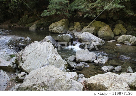 木漏れ日あふれる大阪高槻摂津峡の清流 119977150
