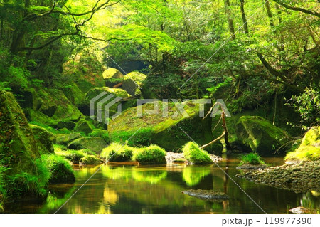 新緑の耶馬渓（一目八景付近・中津市） 119977390