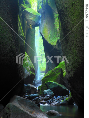 光さす由布川渓谷(由布市・別府市・縦構図) 光さす由布川渓谷(由布市・別府市・縦構図) 119977440