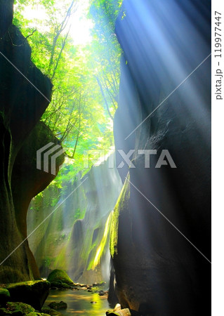 光さす由布川渓谷(由布市・別府市・縦構図) 光さす由布川渓谷(由布市・別府市・縦構図) 119977447