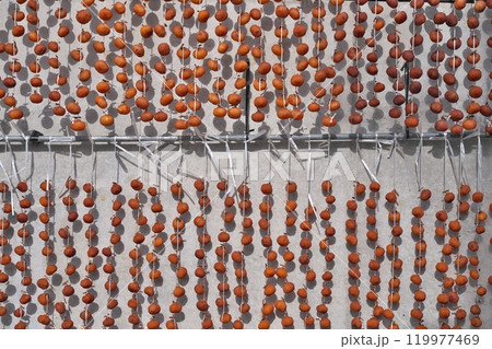 干し柿 干し柿 119977469