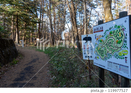 森林散策路と熊注意の案内看板を備えた自然公園 森林散策路と熊注意の案内看板を備えた自然公園 119977527
