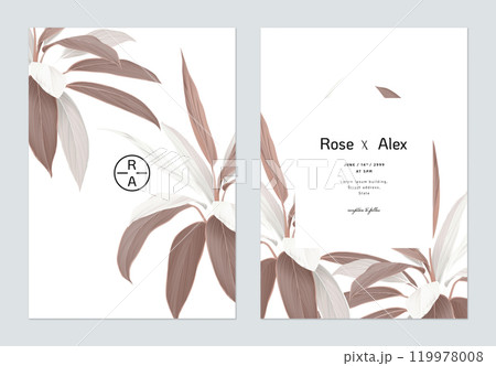 Foliage wedding invitation card template design, brown Cordyline fruticosa Firebrand plant on white 119978008