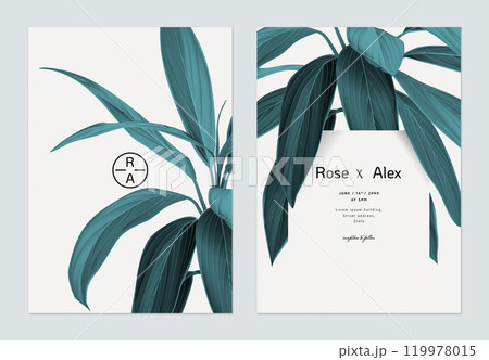 Foliage wedding invitation card template design, blue Cordyline fruticosa Firebrand plant on bright grey 119978015