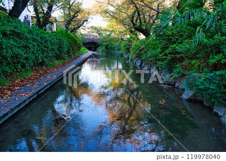 二ヶ領用水と宿河原堰取水口の風景 119978040