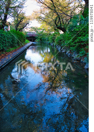 二ヶ領用水と宿河原堰取水口の風景 119978041