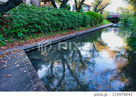 二ヶ領用水と宿河原堰取水口の風景 二ヶ領用水と宿河原堰取水口の風景 119978042