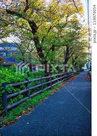 二ヶ領用水と宿河原堰取水口の風景 二ヶ領用水と宿河原堰取水口の風景 119978054
