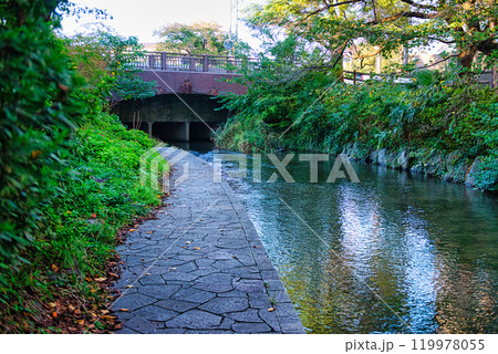 二ヶ領用水と宿河原堰取水口の風景 二ヶ領用水と宿河原堰取水口の風景 119978055