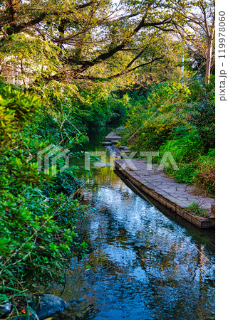 二ヶ領用水と宿河原堰取水口の風景 二ヶ領用水と宿河原堰取水口の風景 119978060