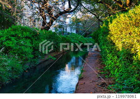 二ヶ領用水と宿河原堰取水口の風景 二ヶ領用水と宿河原堰取水口の風景 119978061