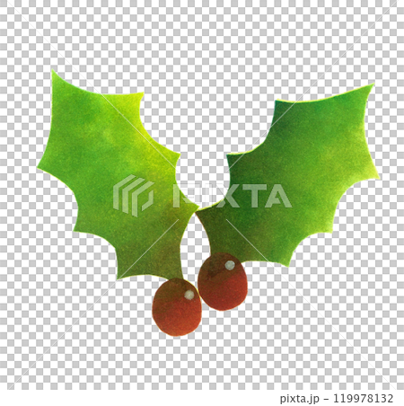 ステンシルで描いたクリスマスの葉二枚 119978132