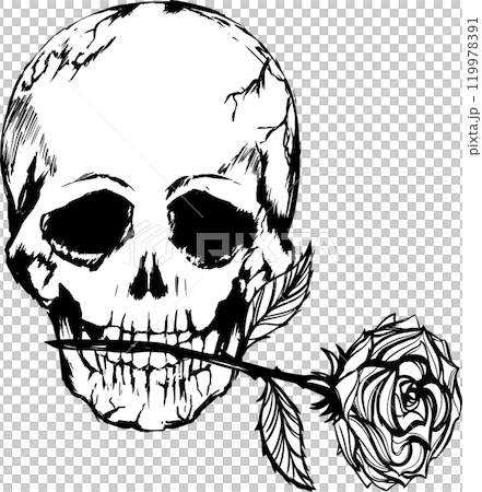 手繪古董設計的骷髏/骷髏標記，添加了玫瑰。 119978391