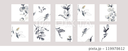水彩画。水彩タッチの手描きの草木。ホテルライクイメージのモノクロ草木イラスト。グレージュの葉っぱイラ 119978612