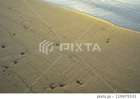 夏の朝凪の海にて朝日に照らされる天橋立の砂浜 119979101