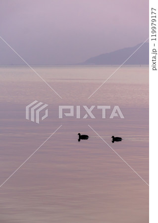 夕焼けに染まる宍道湖と鳥のシルエット 119979177