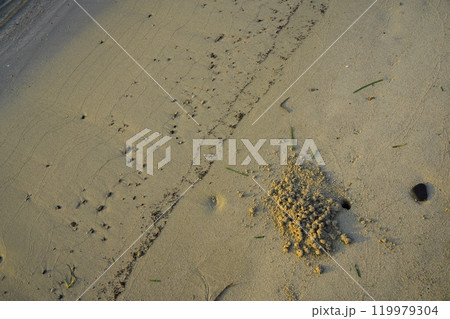 夏の朝凪の海にて朝日に照らされる天橋立の砂浜 119979304