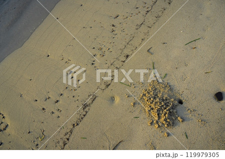 夏の朝凪の海にて朝日に照らされる天橋立の砂浜 夏の朝凪の海にて朝日に照らされる天橋立の砂浜 119979305