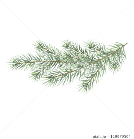 Christmas fir branch watercolor isolated illustration. Hand drawn composition with green spruce tree branch with needles. Botanical decor for winter holidays invitation, Happy New Year greeting cards. 119979504