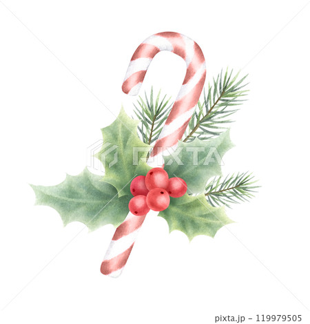 Christmas candy cane with holly plant and fir branch. Hand drawn watercolor isolated illustration. Composition for Happy New Year greeting cards template, stickers, festive packaging and designs. Christmas candy cane with holly plant and fir branch. Hand drawn watercolor isolated illustration. Composition for Happy New Year greeting cards template, stickers, festive packaging and designs. 119979505