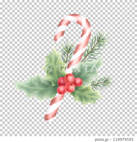 Christmas candy cane with holly plant and fir branch. Hand drawn watercolor isolated illustration. Composition for Happy New Year greeting cards template, stickers, festive packaging and designs. Christmas candy cane with holly plant and fir branch. Hand drawn watercolor isolated illustration. Composition for Happy New Year greeting cards template, stickers, festive packaging and designs. 119979505