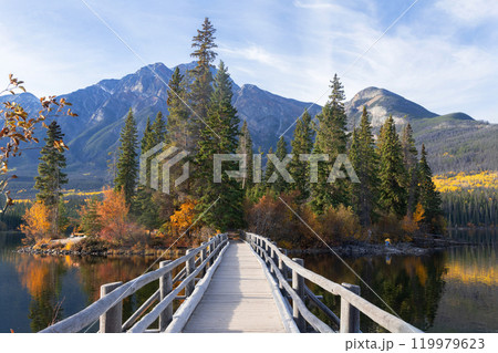Perspective view from the wooden bridge to Pyramid lake island, fall scenery with yellow foliage and green spruce trees. Jasper national park 119979623