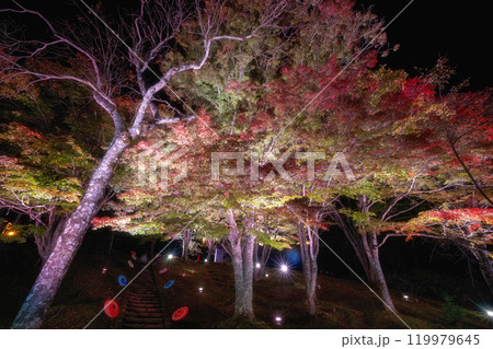 福島県猪苗代町　土津神社の紅葉ライトアップ 119979645